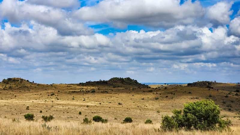 Johannesburg : visite du site classé au patrimoine mondial de l'humanité « Cradle of Humankind » (berceau de l'humanité)