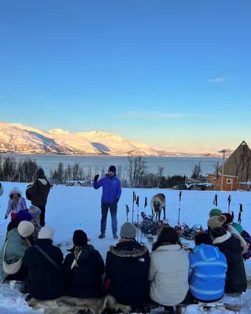 Tromsø : Randonnée en raquettes avec des rennes