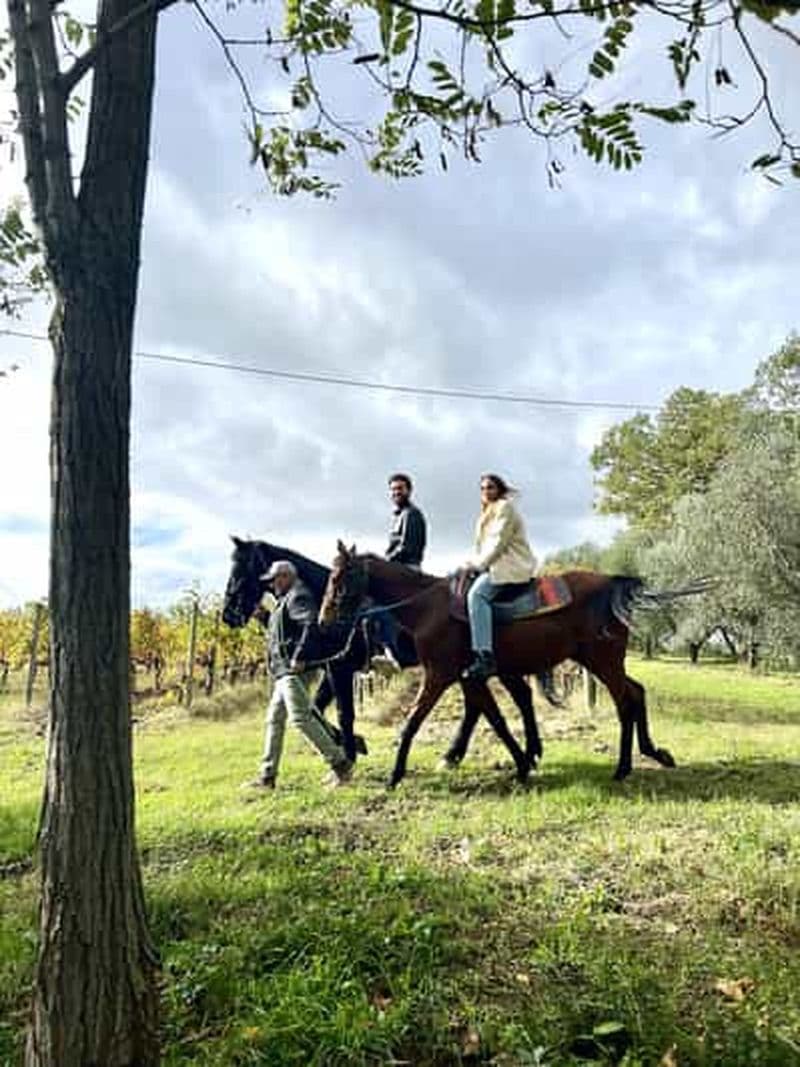 Balade à cheval dans les vignobles de Montepulciano