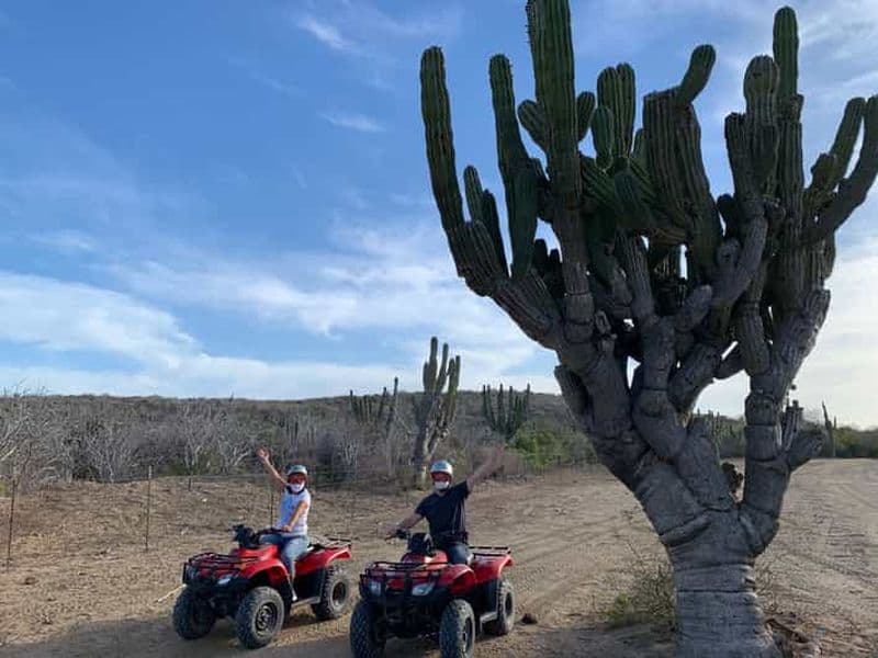 San José del Cabo : Circuit en VTT de 2 heures