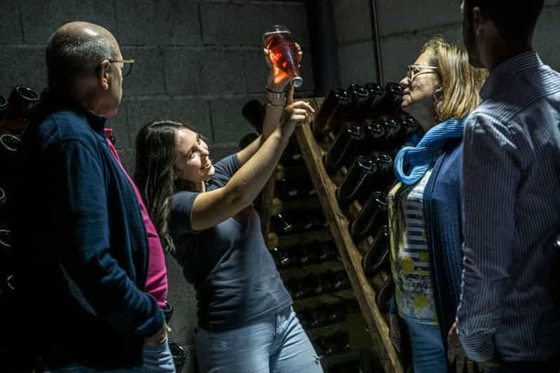 Billet Celorico De Basto : Visite du vignoble Quinta de Santa Cristina