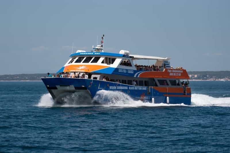 Santa Pola : Croisière en catamaran à Tabarca avec vision sous-marine