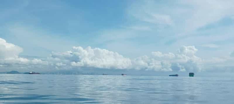 Panama City : excursion d'observation des baleines avec escale sur une île