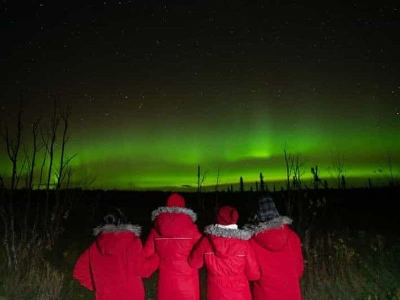 Billet Anchorage : Excursion nocturne aux aurores boréales