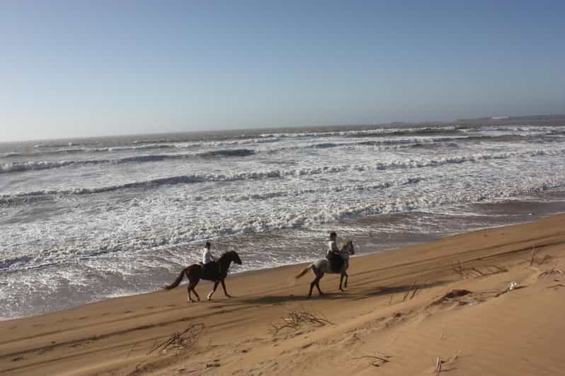 Essaouira : 3 heures de cheval et nuit sous tente berbère