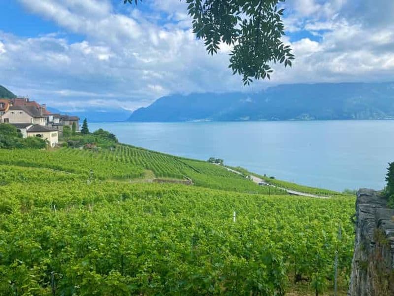 Billet Bâle : Excursion privée à la découverte des vins et fromages de Gruyères et Lavaux
