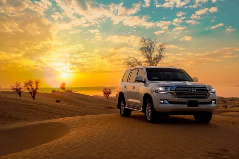 Dubaï : Lahbab Red Dunes Tour Rallye dans les dunes à dos de chameau