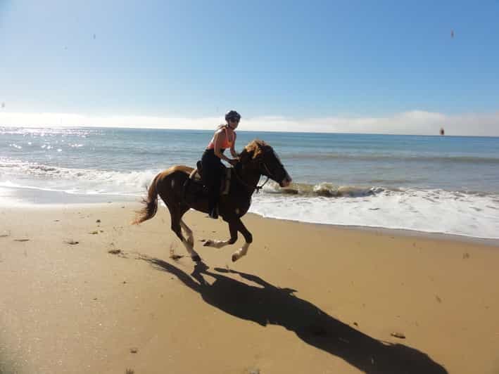 Depuis Essaouira : excursion à cheval avec nuit en camp berbère