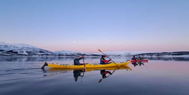 Billet Tromsø : Excursion hivernale facile en kayak avec observation des phoques