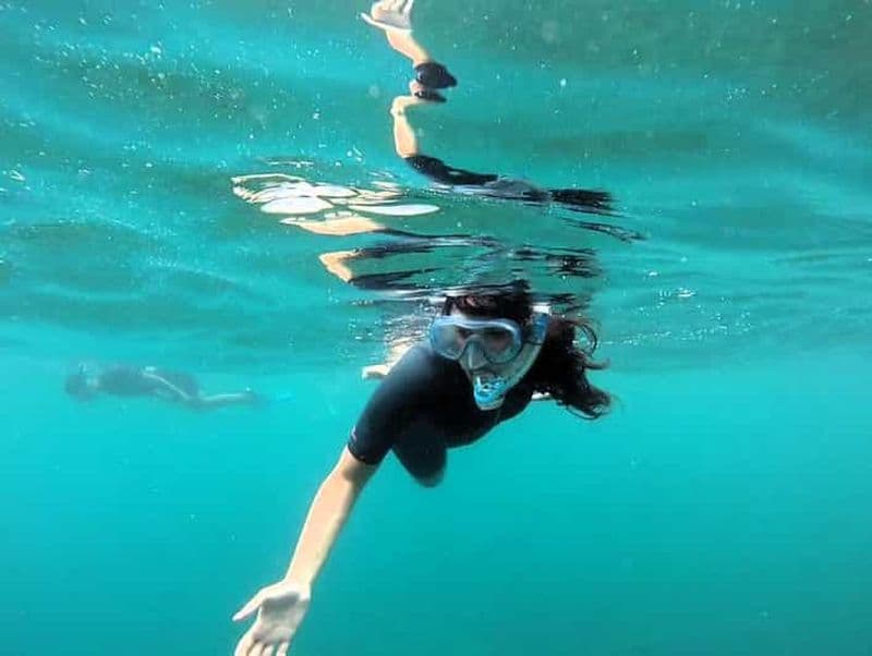Snorkeling guidé à Cambrils avec explications sur l'environnement marin.