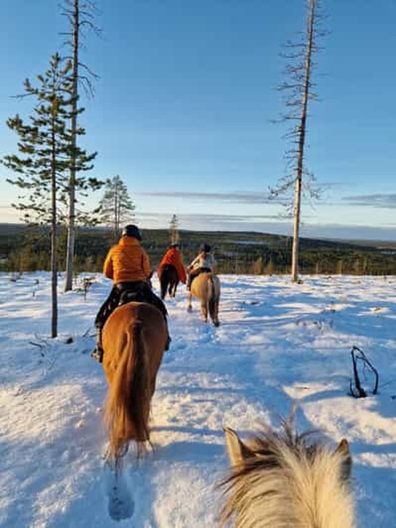 Rovaniemi : balade à cheval en hiver sur les collines enneigées et dans les forêts