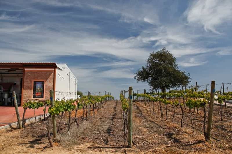 L'expérience du monde du vin