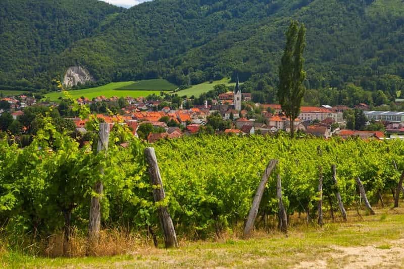 Circuit à Maribor et en Styrie avec dégustation de vins