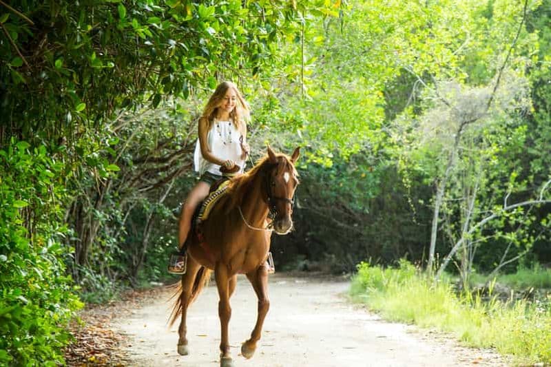 Billet Randonnée à cheval dans la jungle tropicale