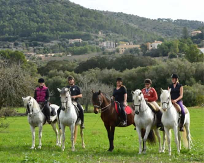 Billet Majorque : visite guidée à cheval de la vallée de Randa