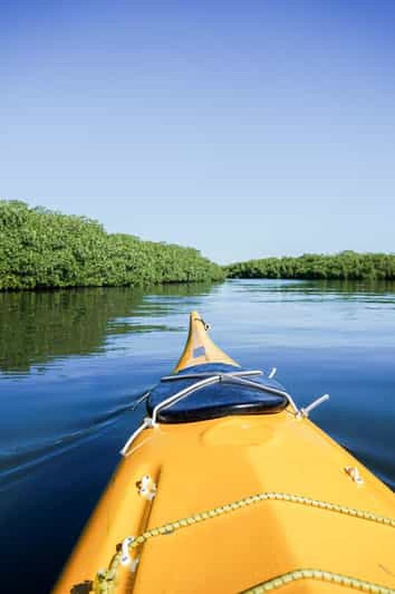 Excursion en kayak de mer - Safari dans la mangrove