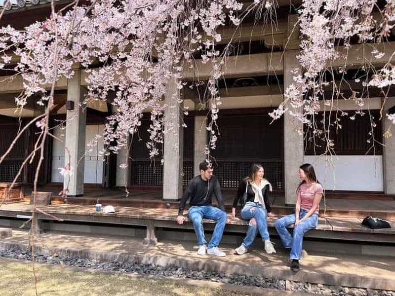 Visite à pied de la vieille ville de Yanaka à Tokyo (visite privée avec guide local)