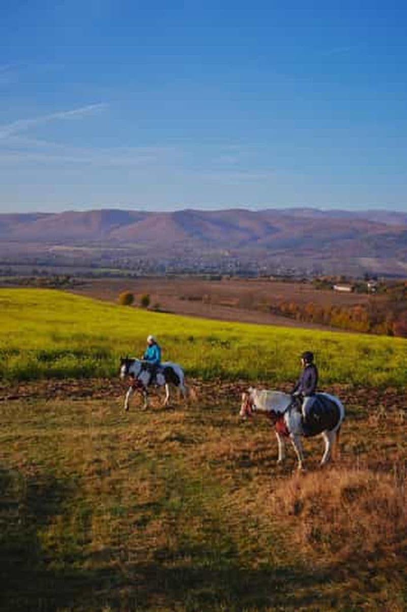Évadez-vous de Sofia : balade à cheval à travers la beauté de la Bulgarie