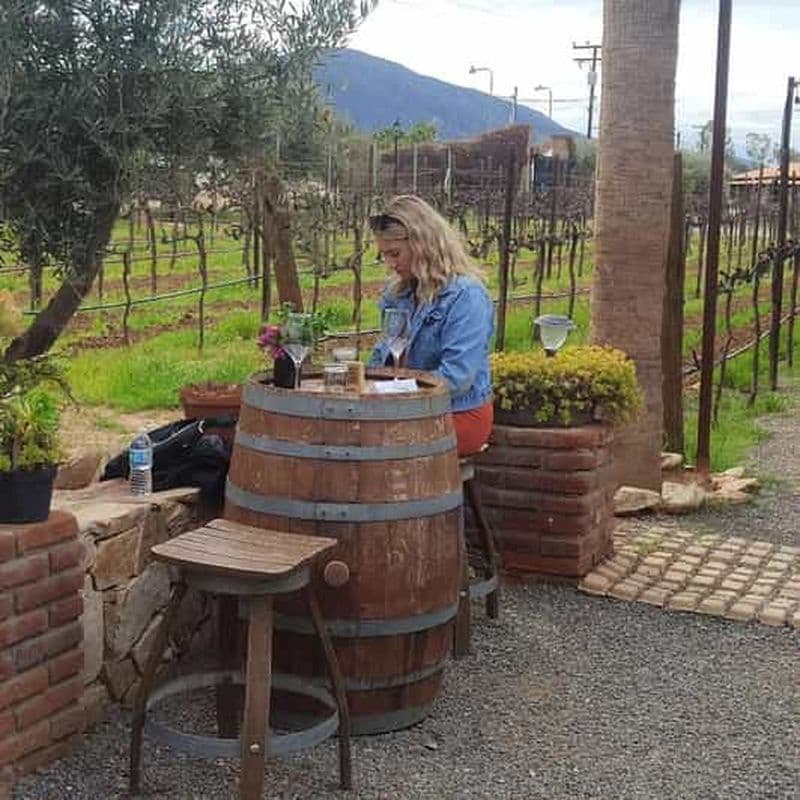 Ensenada : Dégustation de fromages et de vins de la vallée d'Ojos Negros