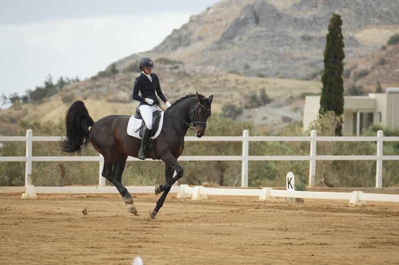 Plakias : cours d'équitation