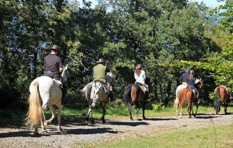 Randonnée à cheval dans les vallées + dégustation de mets