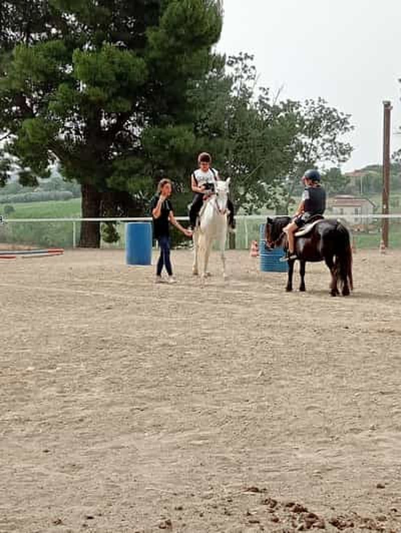 Billet Recanati : Cours d'équitation pour enfants et adultes