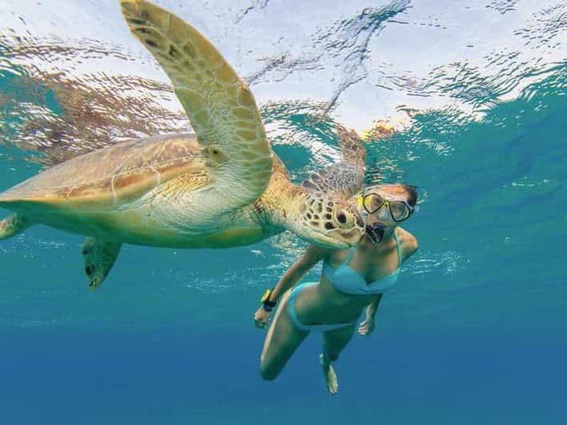 Oahu : plongée en apnée avec les tortues, scooter des mers, planche à pagaie
