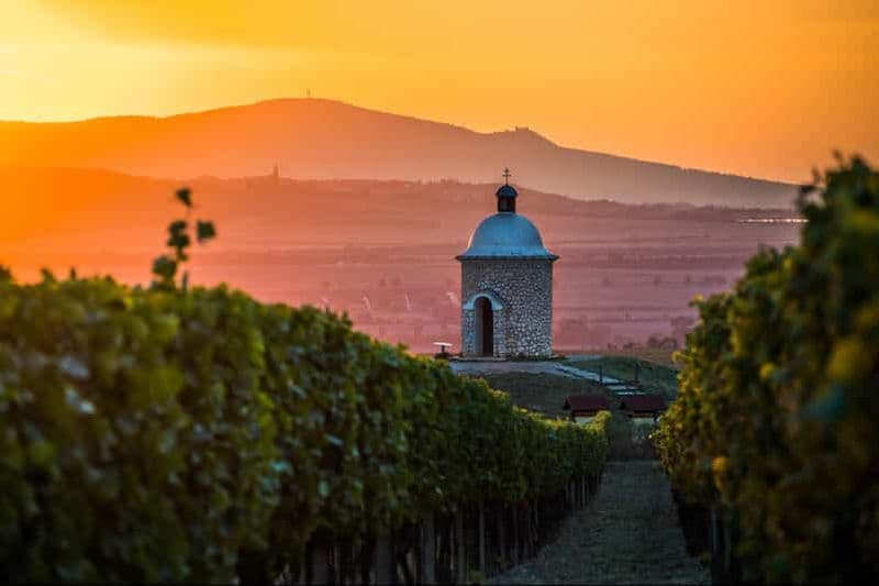Au départ de Brno : circuit à vélo électrique dans la Toscane morave avec dégustation de vins