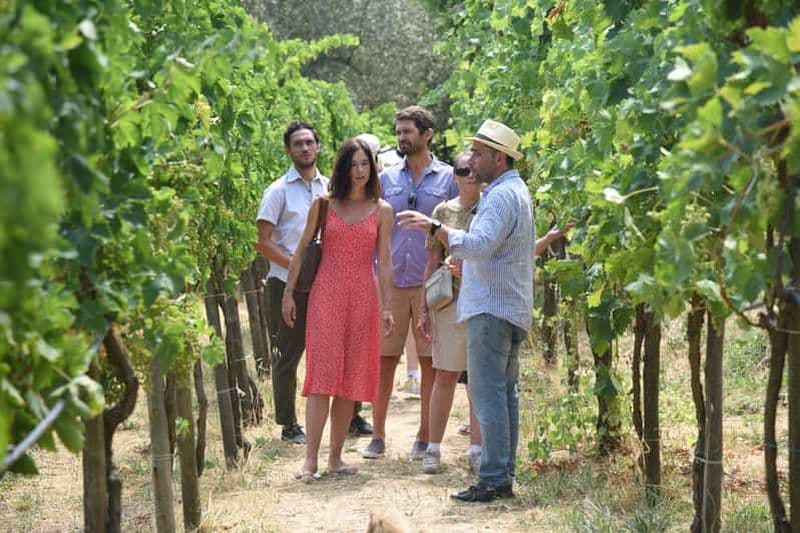 Sorrente : Visite de la ferme avec dégustation de fromages et cours de fabrication de pizzas