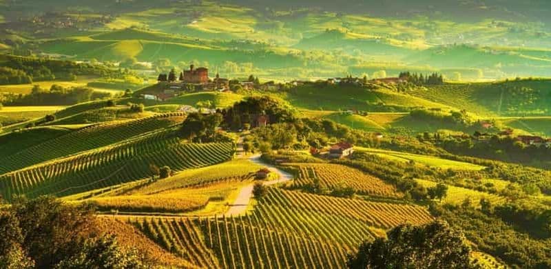 Visite d'une jounée dans la région des Langhe avec dégustation de vins