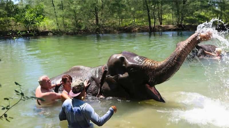 Phuket : Rafting en bambou et sur l'eau avec bain d'éléphant