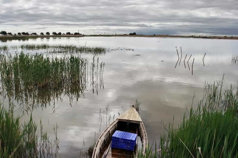 Billet Observation des oiseaux dans le delta de l'Ebre