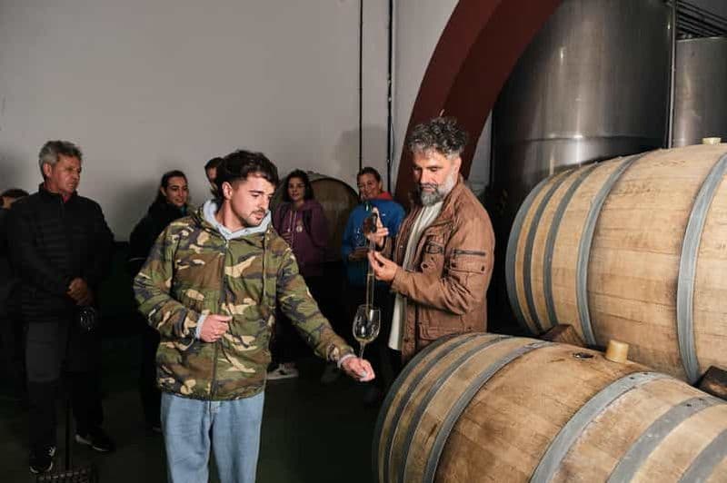 Billet La Palma : Visite du vignoble Bodegas Teneguia avec dégustation de vins