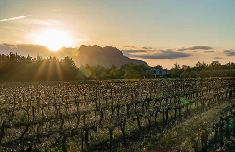 Billet Fréjus: Visite guidée Cave et dégustation de vins