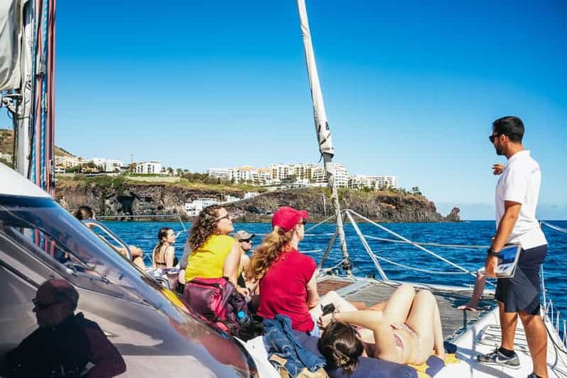 Funchal : Observation des dauphins et des baleines en catamaran de luxe