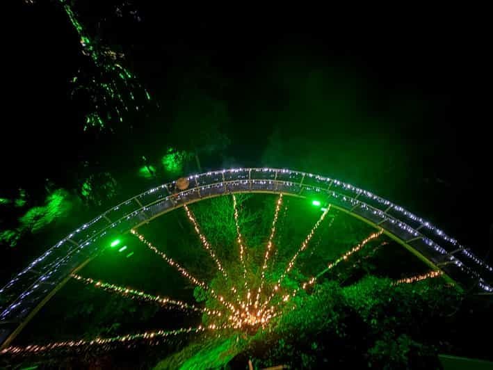 CANYON LIGHTS + pont suspendu de Capilano/petit groupe/VOITURE