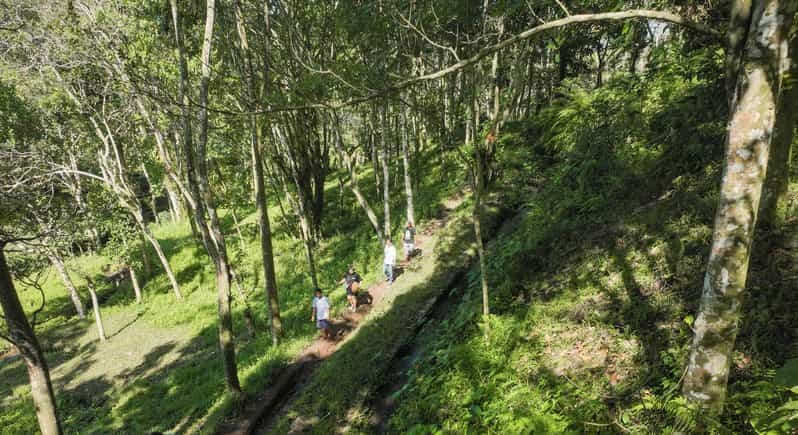 Lombok : promenade à Tetebatu, cascade, forêt des singes et cours de cuisine