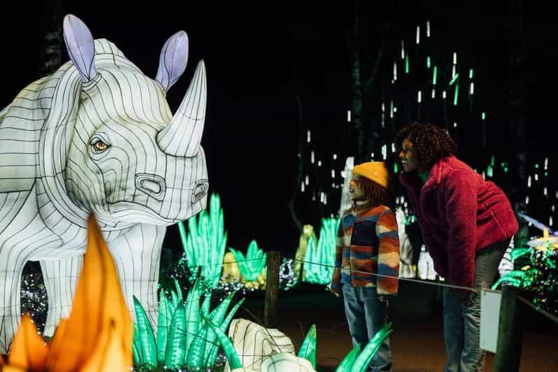 Billet Hilvarenbeek : Safari lumineux à Beekse Bergen