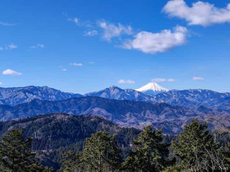 Billet Tokyo : randonnée nature et culture au mont Takao avec guide privé
