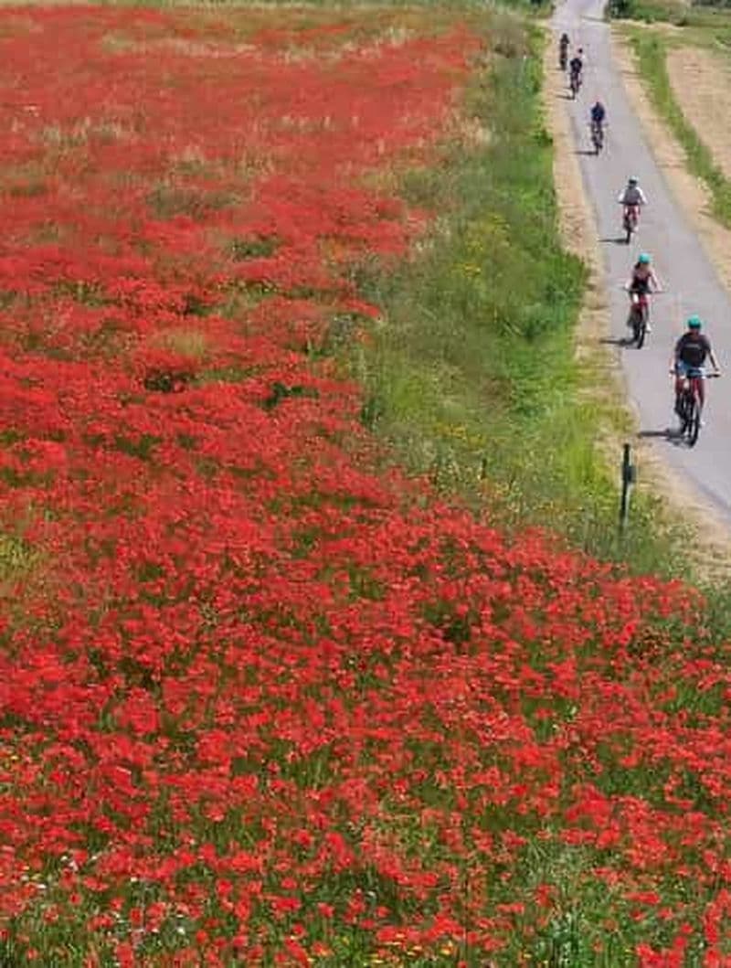Visite de San Miniato à vélo électrique le long des collines de truffes