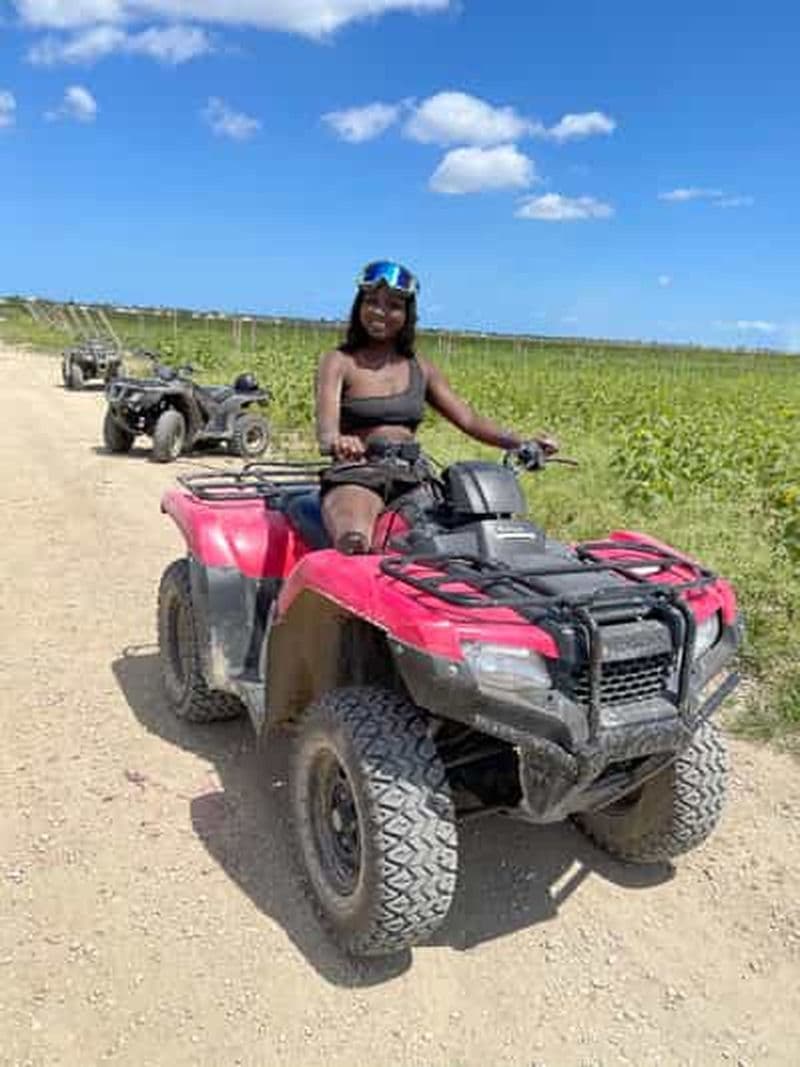 Billet Miami : Excursion en quad tout-terrain avec photos et vidéos