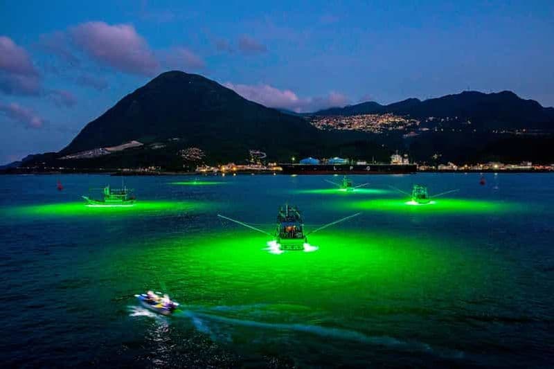 Pêche nocturne à l'encornet et petit gibier sur l'île privée de Maiton