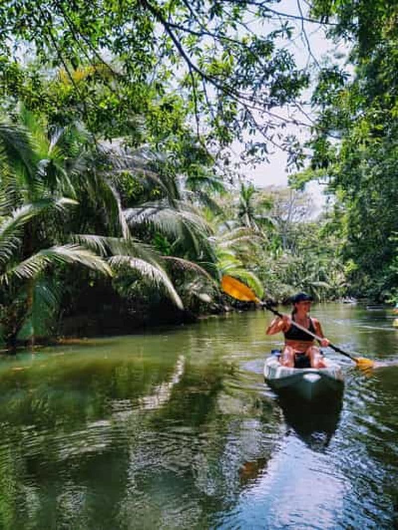 Punta Uva : Kayak et observation des paresseux