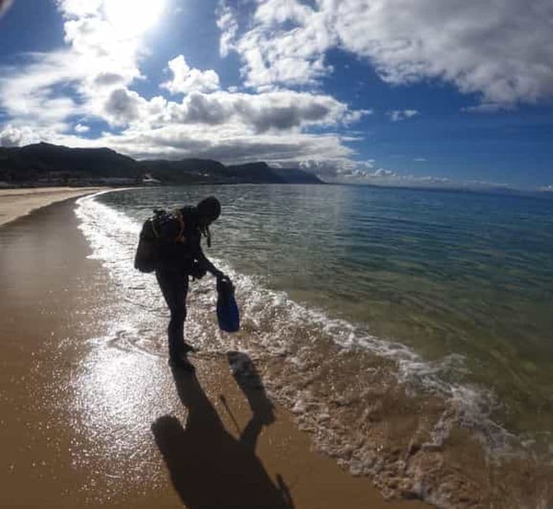 Le Cap : expérience de plongée sous-marine pour les débutants