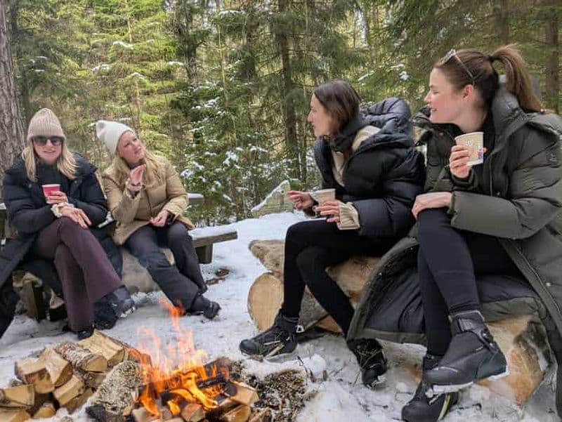 Oslo : excursion de 3 heures en ski de fond avec équipement et guide