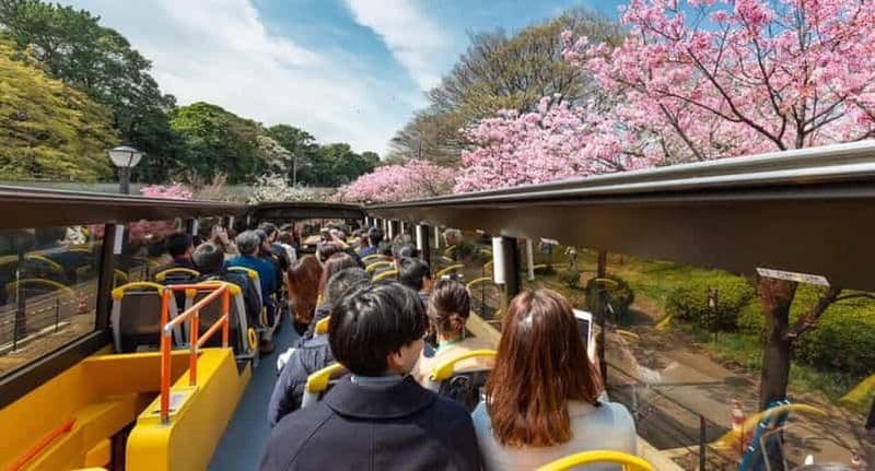 Billet Tokyo : Bus touristique à toit ouvert avec audioguide