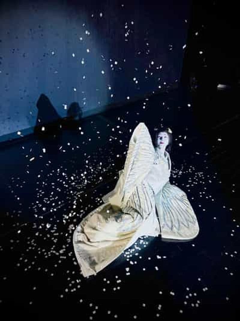 Billet Tokyo : Authentique spectacle de danse japonaise billet par des professionnels