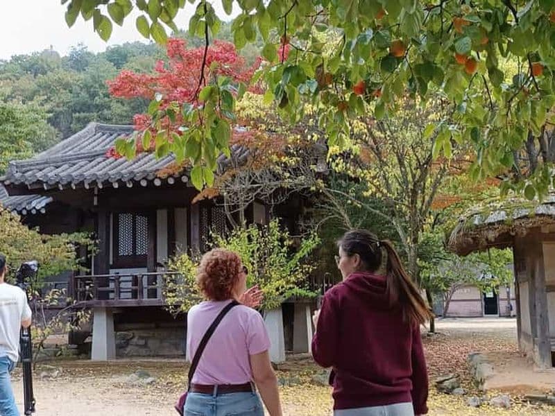 Excursion d'une journée à Gyeongbuk : Fabrication de l'Omija Ssamjang et randonnée à Mungyeong