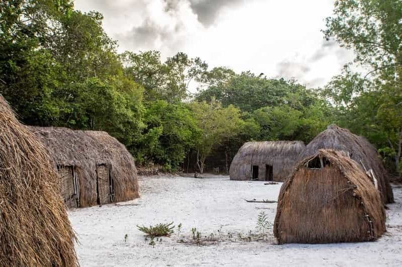 Diani : Observation des oiseaux à Arabuko, promenade dans la nature à Tsavo East