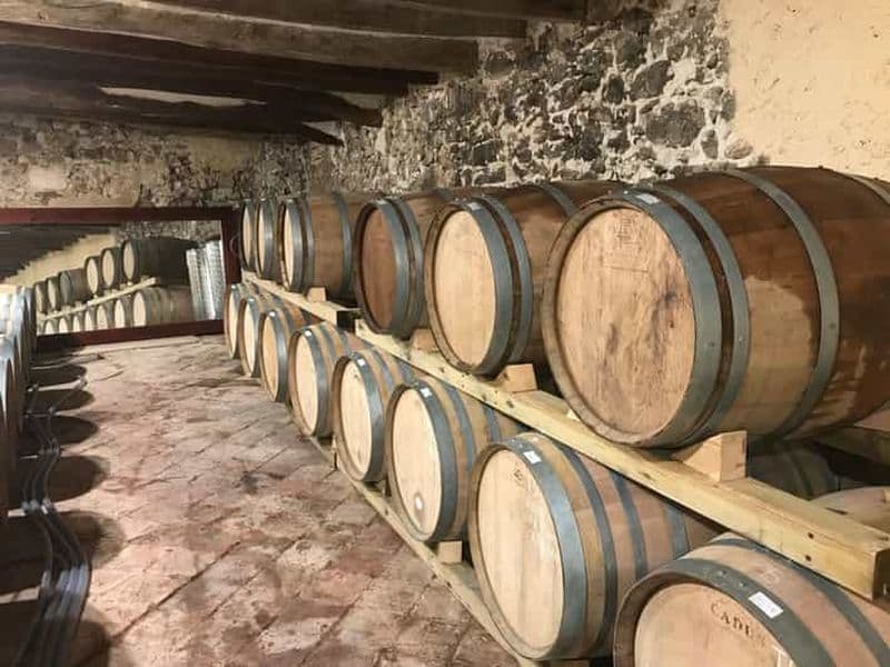 Dégustation de vins dans les vignobles avec prise en charge à l'hôtel.